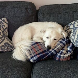 Meet your Posher, Katy